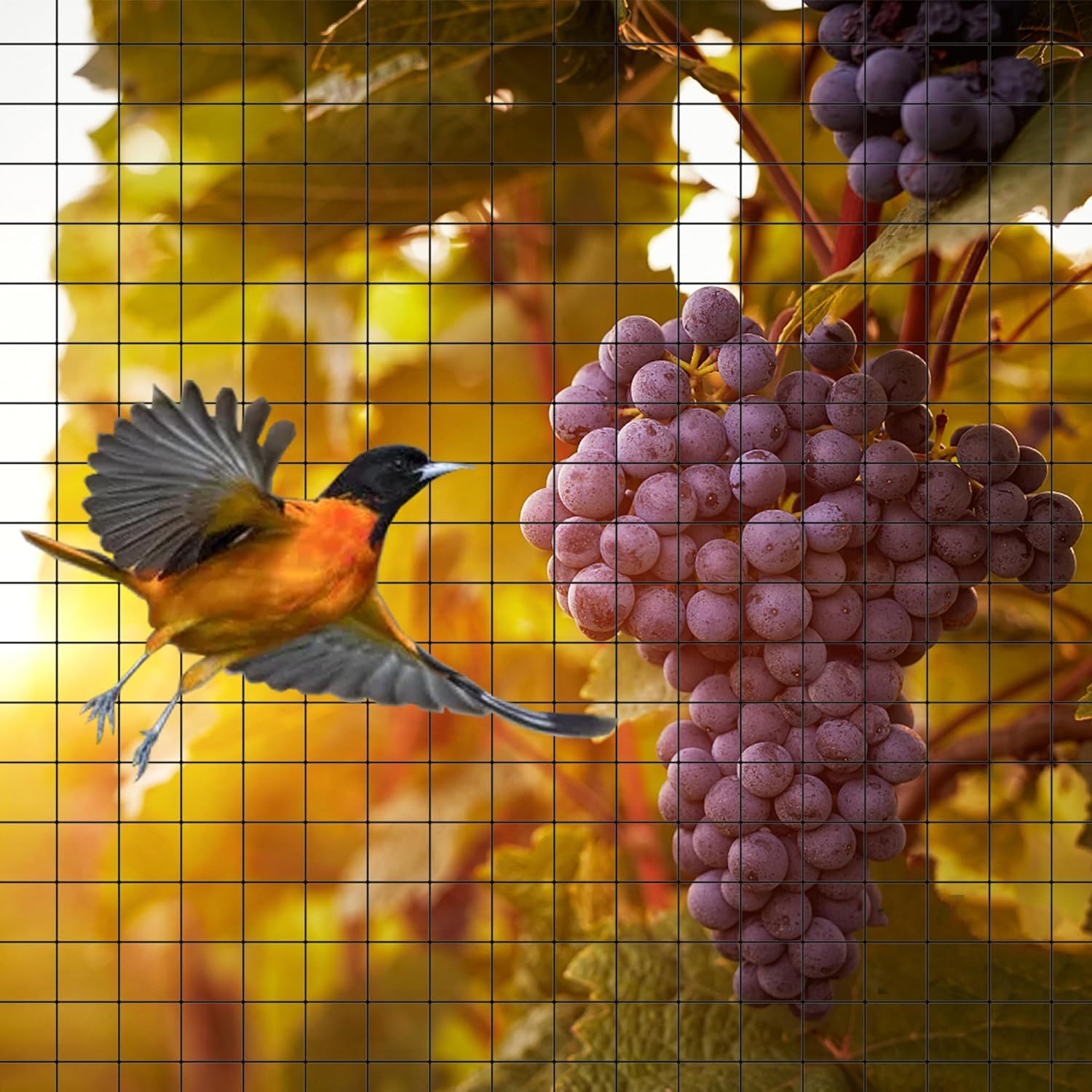 Red anti pájaros de jardín, protección temporal contra pájaros, red de plástico para vallas vegetales y florales (7'x100') - 6