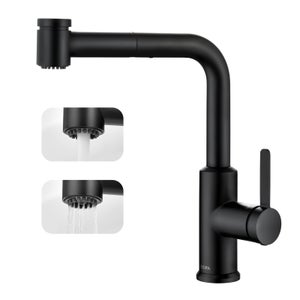 Cecipa max Mitigeur de Cuisine Extractible Robinet avec 40 CM Douchette Extractible Mitigeur Cuisine à 2 Jets Eau Froide et Chaude Noir,EU Modèle