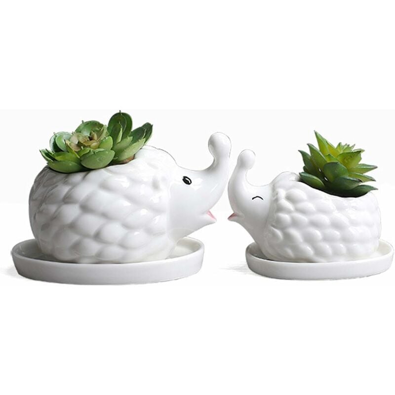 Vaso per piante grasse in ceramica bianca a forma di riccio, vaso per fiori, grazioso vaso per cactus, piante aeree | Leroy Merlin