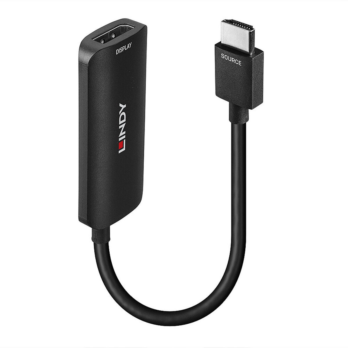 Câble DisplayPort vers HDMI LINDY Noir 1 m