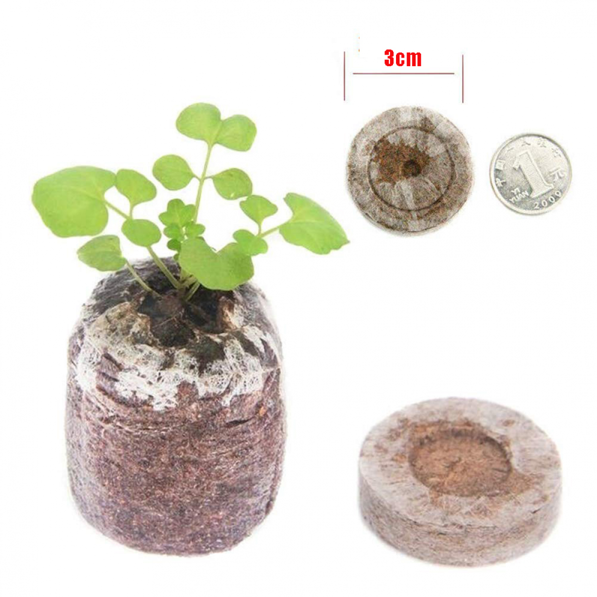 Lot de 10 blocs nutritifs pour semis de 3 cm, terreau de culture pressé pour plantes, noix de coco, semis, boue comprimée, fournitures de jardinage - 2