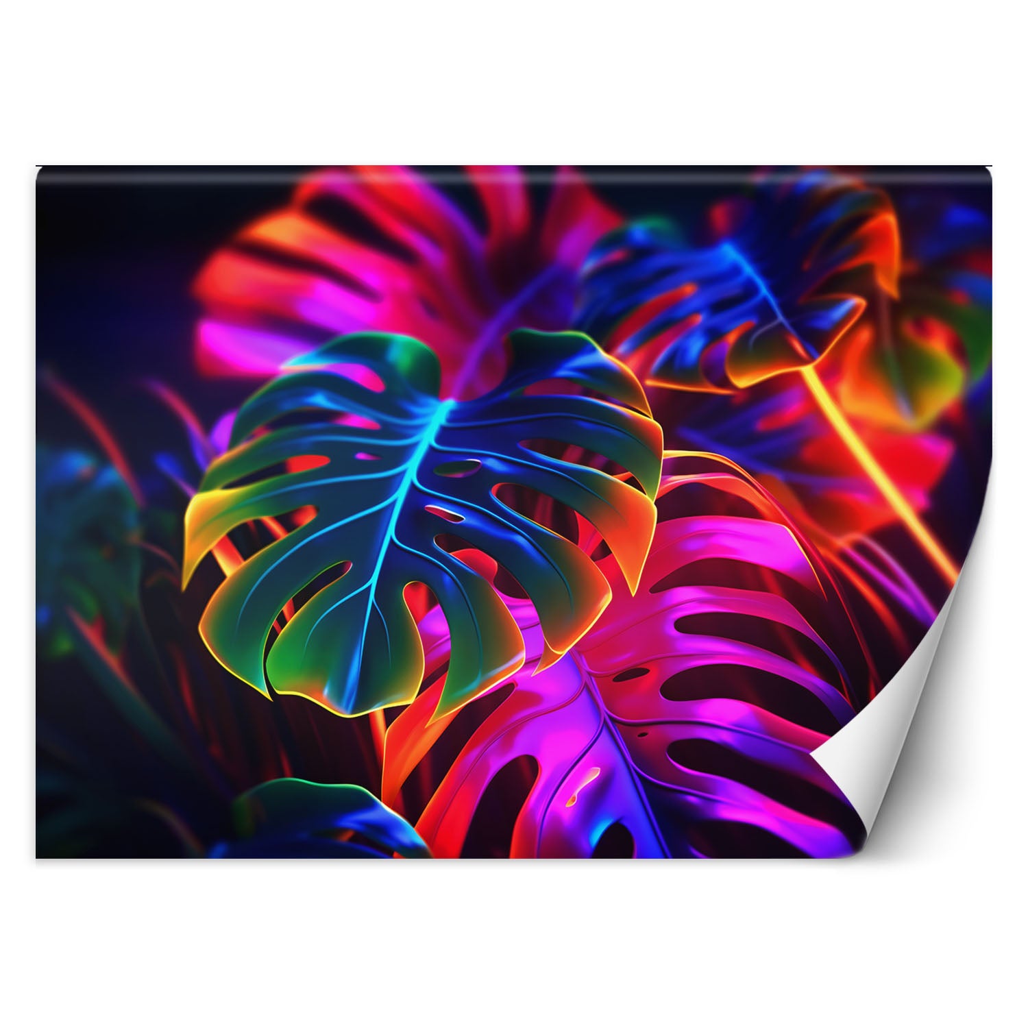 Fototapeta, Monstera fluorescencyjne liście 250x175