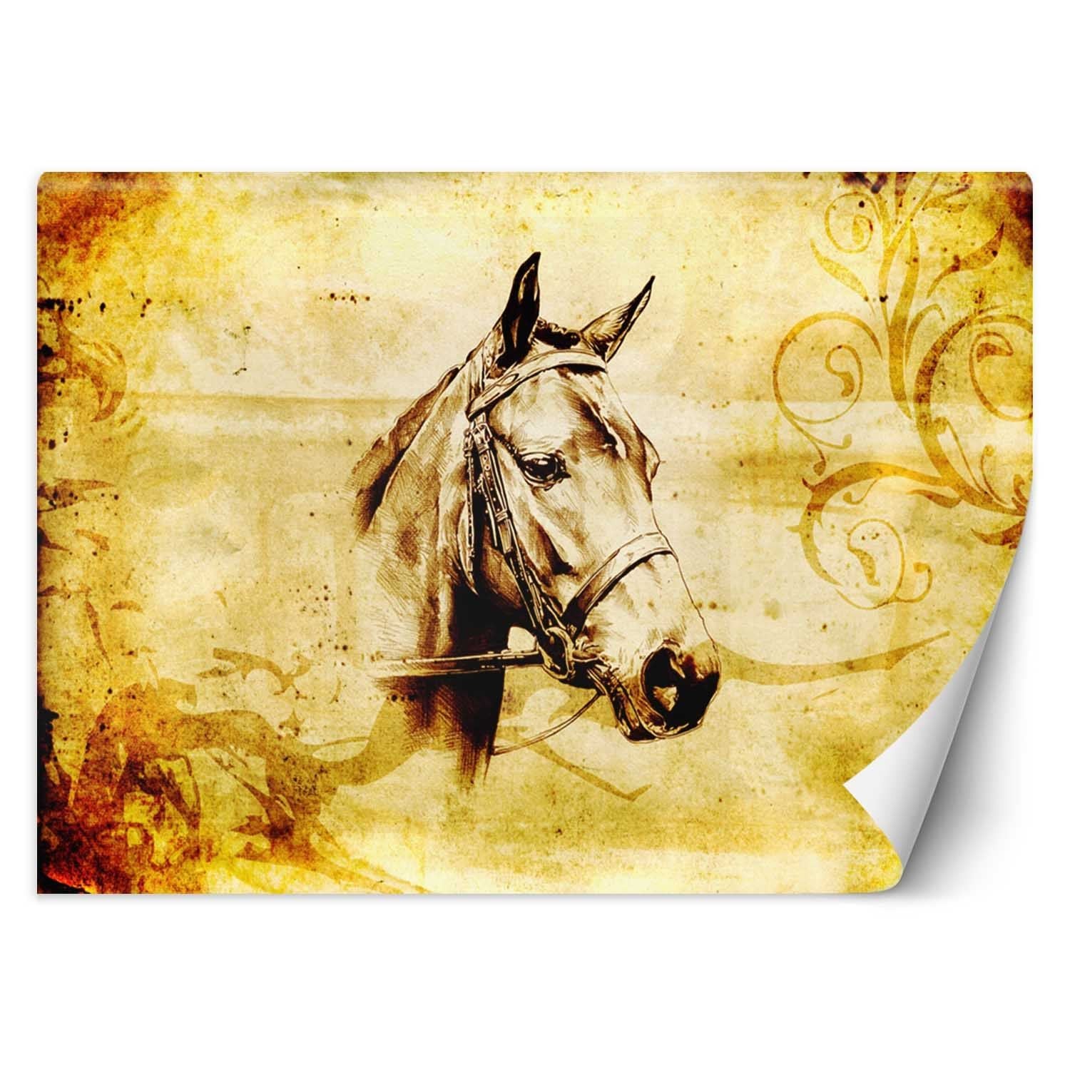 Fototapeta, Koń vintage 300x210