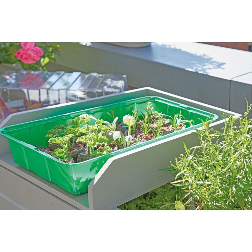 Mini serre non chauffante + 28 pastilles COCO - ROMBERG - 4