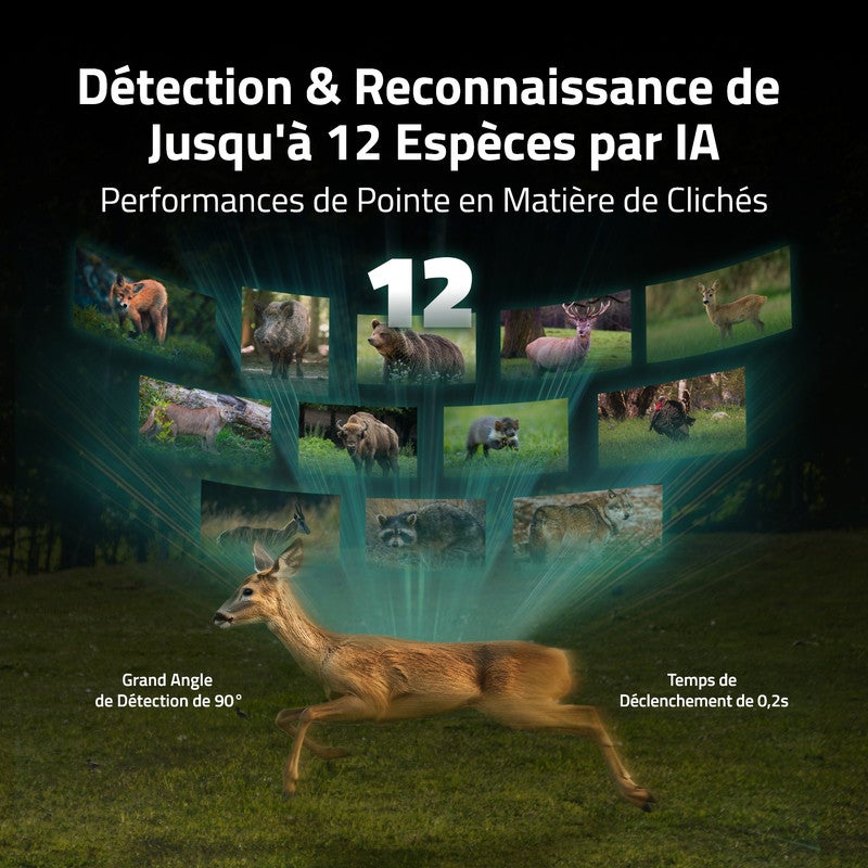 Camovue Caméra de surveillance 4K Batterie 4G Extérieur, Carte SIM, Vision Nocturne, Reconnaissance d'Espèces - 4