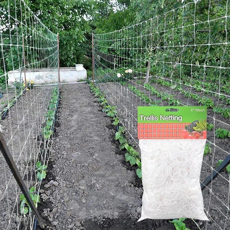 Siatka do pnączy Wytrzymała siatka ogrodowa do pnączy owocowych i warzywnych Siatka do pnączy, 3,34 x 10 m
