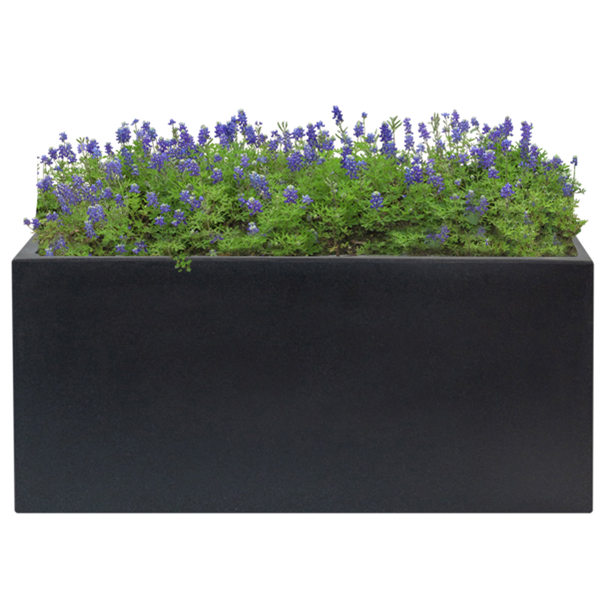 Pot de fleurs en polyéthylène anthracite 60x20x20 cm WellHome - 3