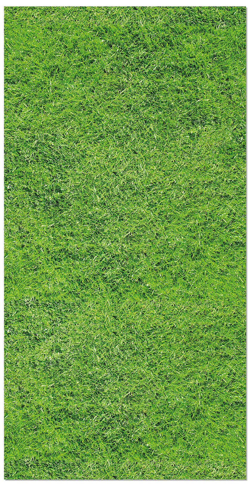 Panorama alfombra vinílica césped 300x200 cm - alfombra cocina vinilo - alfombra salón antideslizante, antihongos e ignífuga
