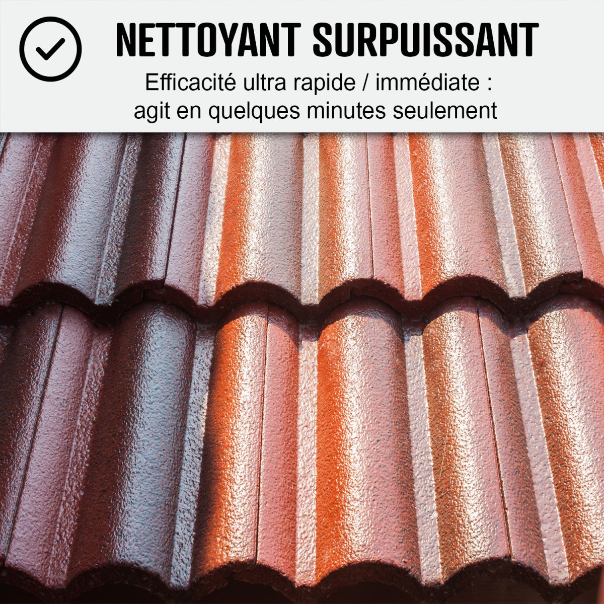 Nettoyant Toiture - Produit nettoyage toiture action rapide - 20 L - ARCANE INDUSTRIES - 8