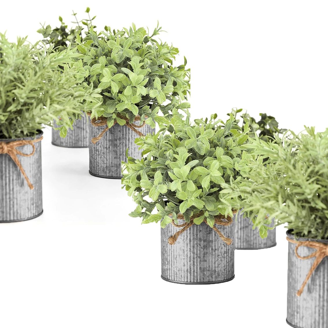 Piante grasse artificiali: acquista questo articolo all'ingrosso per il tuo negozio Piante grasse artificiali: acquista questo articolo all'ingrosso per il tuo negozio