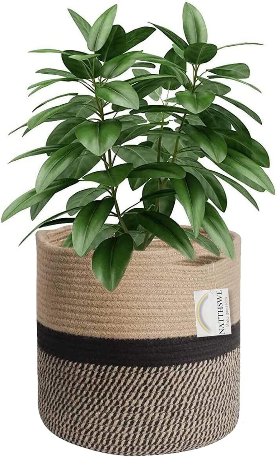Vaso Rettangolare In Vetro Per Idroponica, 2 Pezzi Con Ganci - Terrario Per Piante Grasse, Fioriera Da Parete O Scrivania Per Casa, Ufficio, Giardino