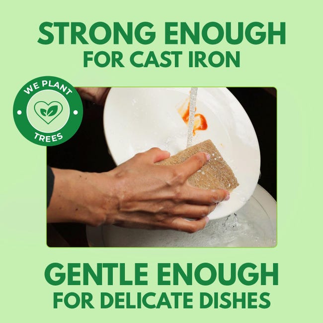 Spugne Da Cucina Biodegradabili Bio4You - 12 Pezzi Compostabili In Cellulosa E Cocco - Foto 6