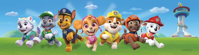 Frise de papier peint adhésive PAW Patrol - La Pat' Patrouille bleu et vert - 500 x 14 cm - Sanders & Sanders