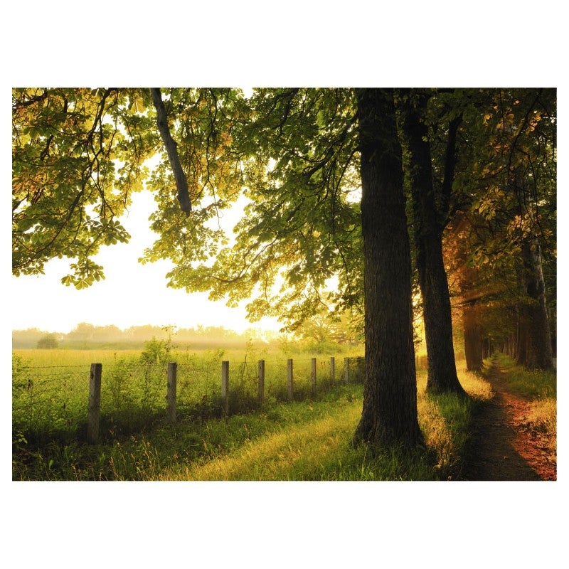 Tableau toile en kit LISIERE de la forêt 180 x 130 cm - Toile textile sans PVC, Made in France par Scenolia - 2