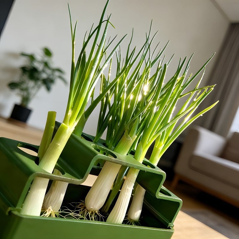 LEDANDER Pots de fleurs avec trous de drainage, pots en plastique pour jardin intérieur et extérieur, jardinières pour plantes grasses - 8