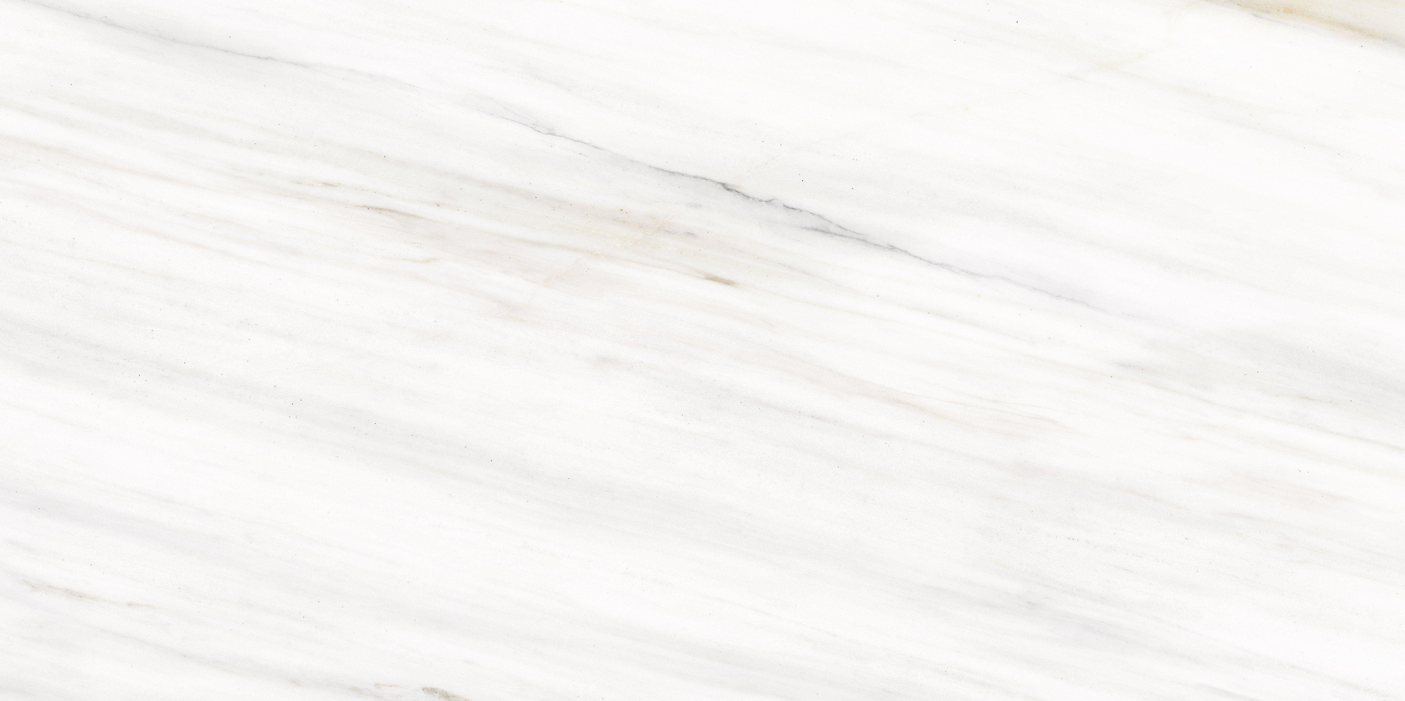 Carrelage sol/mur effet marbre blanc DOLOMITI BIANCO l.120 x L.60 cm MAJORCA TIFFANY - 2