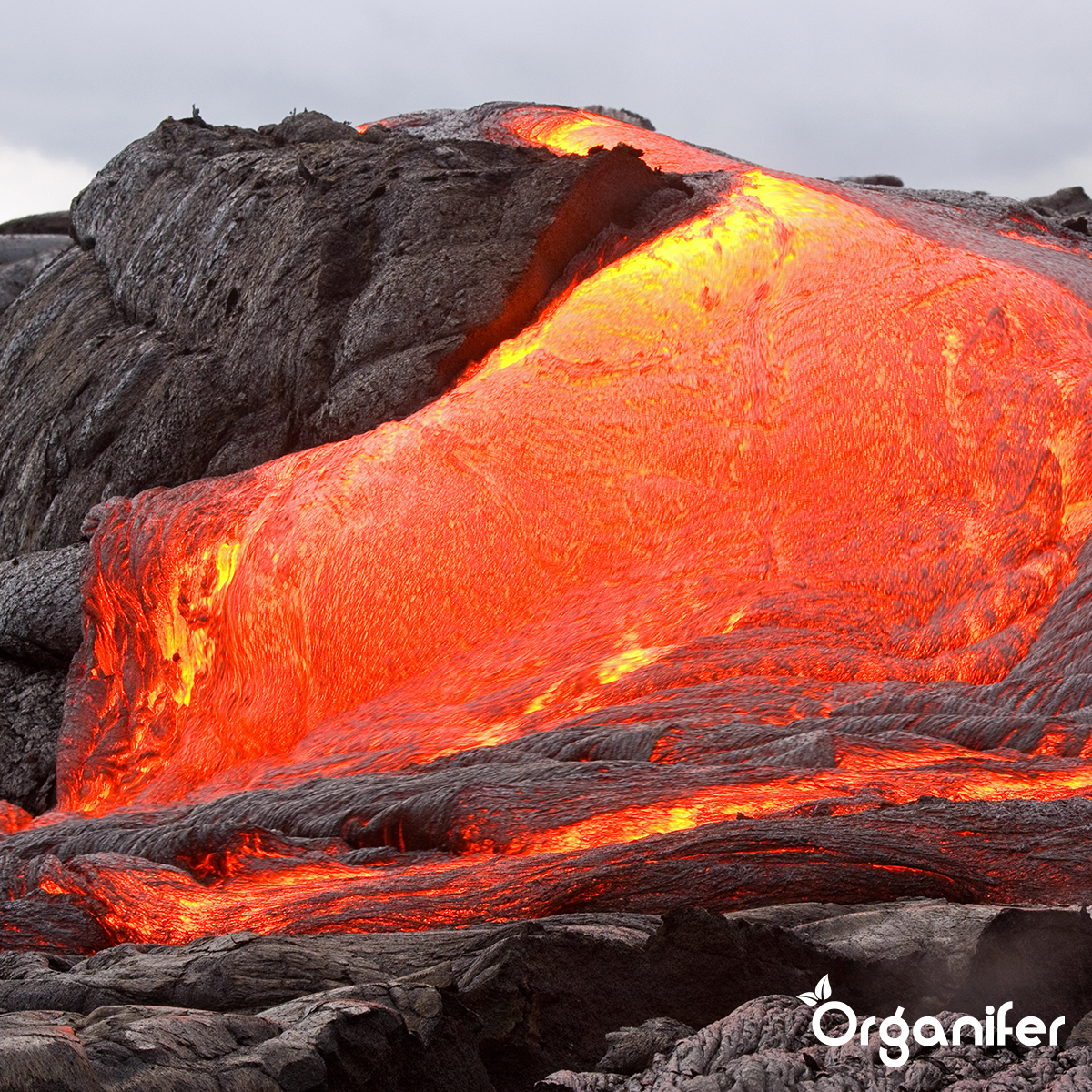 Farine De Basalte Amendement Pour Sol Argileux - 20 Kg Pour 200 M2 - Organifer - 6