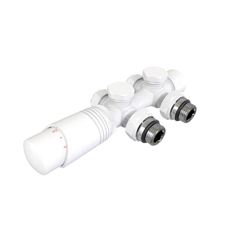 Kit Radiateur Kit Multibloc Universel Pour Radiateur Raccordement Central avec DN15 ...