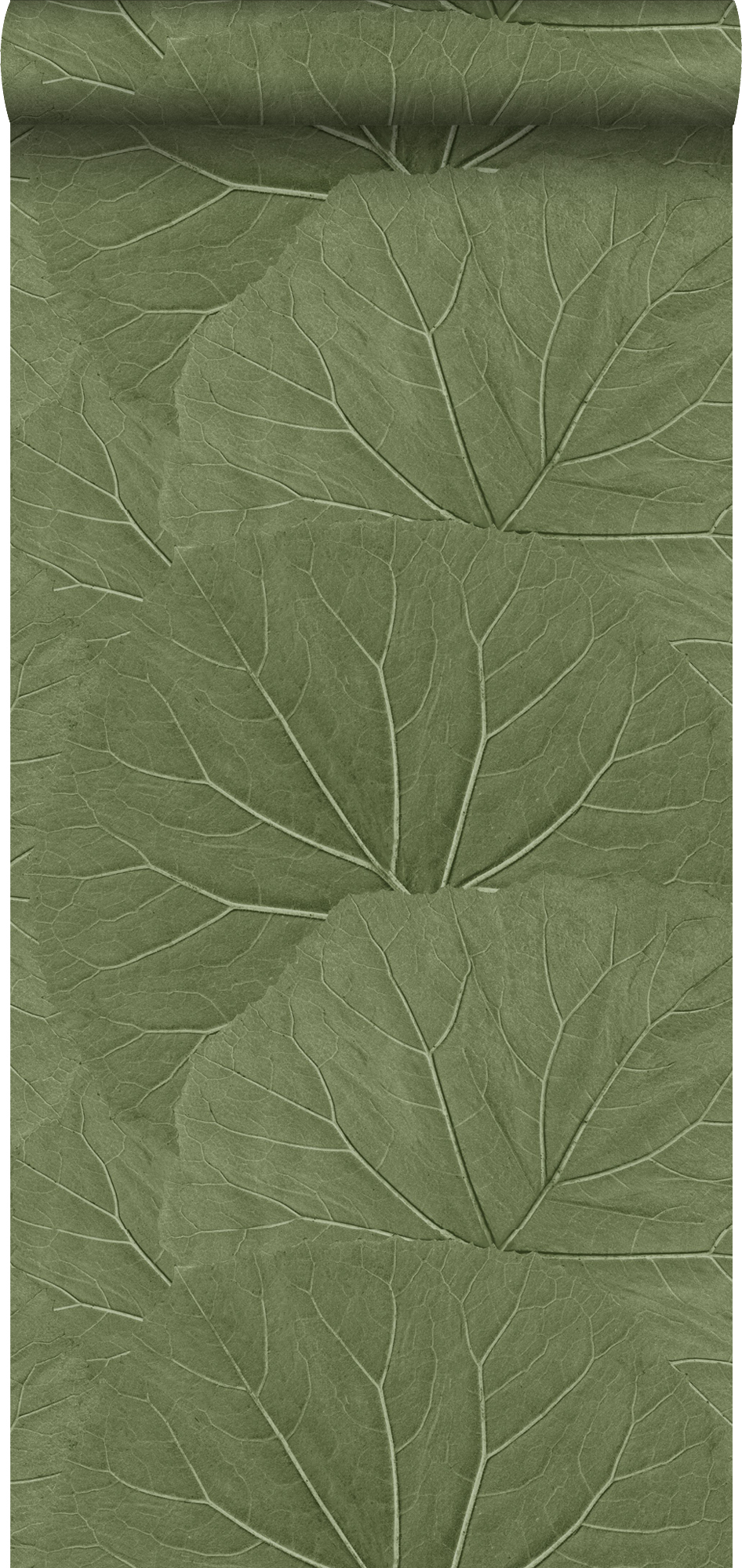 Papel pintado hojas grandes verde oliva agrisado - 0,53 x 10,05 m - estahome