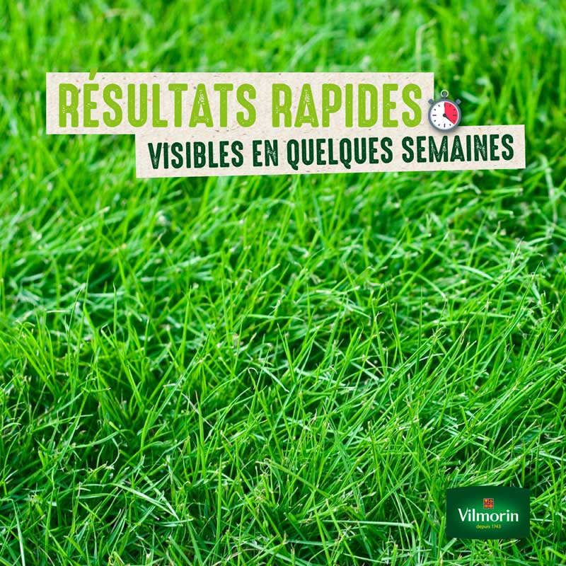 Gazon Ultra Résistant - Label Rouge - 10 kg - 2