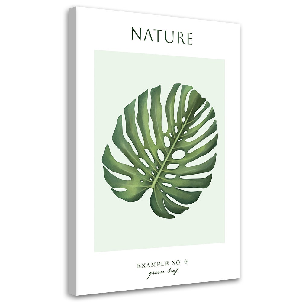 Obraz na płótnie, Zielony liśc - Natura 60x90