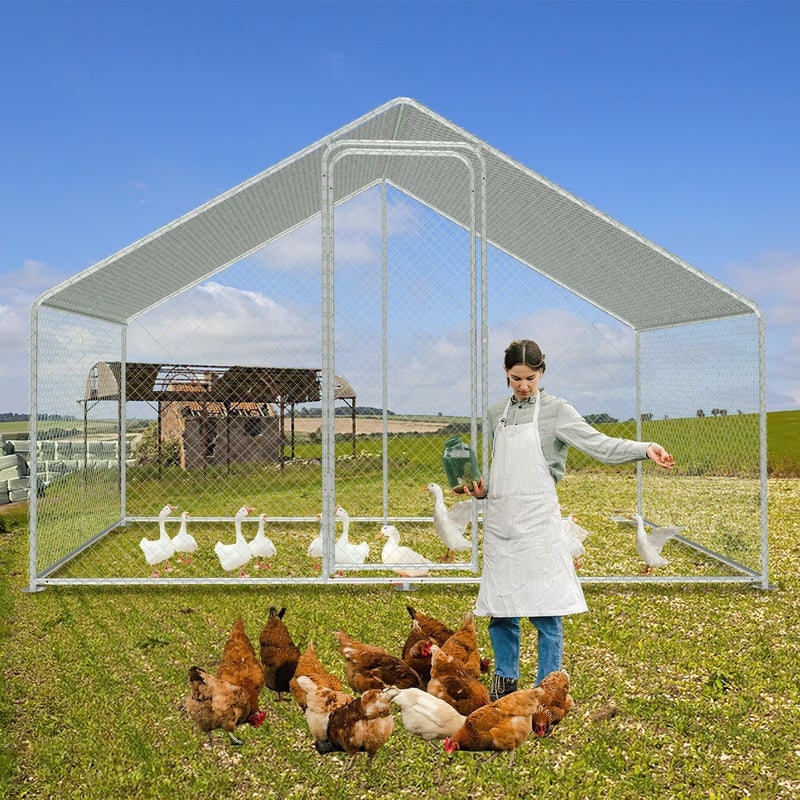 6 Protezioni Per Piante A Campana In Metallo 45x29 Cm – Antiruggine, Con Picchetti Ed Etichette, Per Piantine E Fiori Da Orto E Giardino