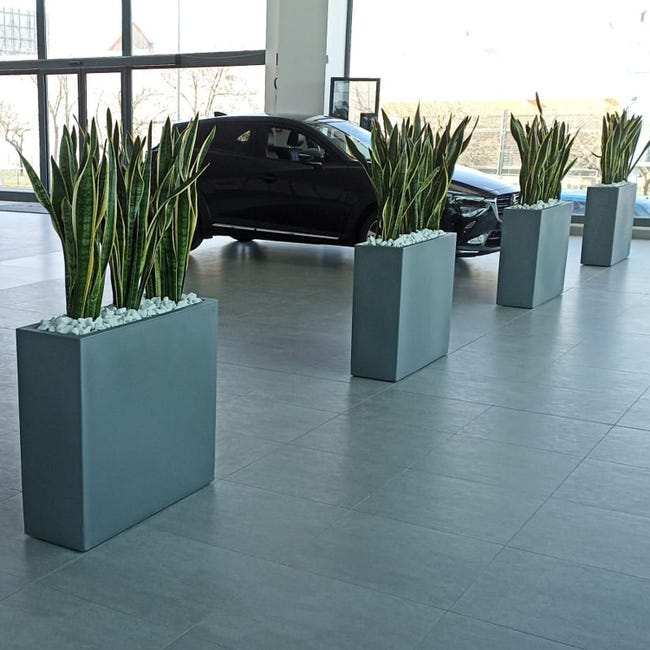 Vasi Da Giardino Profondi UK 5 Vasi Da Fiori Neri Extra Profondi 4 Litri - In Plastica Di Alta Qualità, Per Piante E Giardinaggio Vasi Profondi In - Foto 4