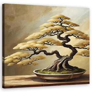 Bonsai drzewka | Leroy Merlin