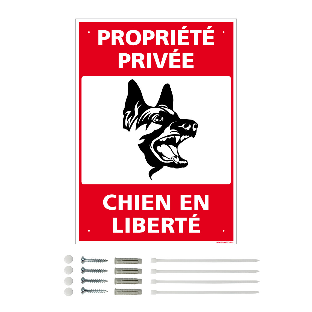 LOT DE 2 plaques en métal de signalisation issue de secours 30x28 cm