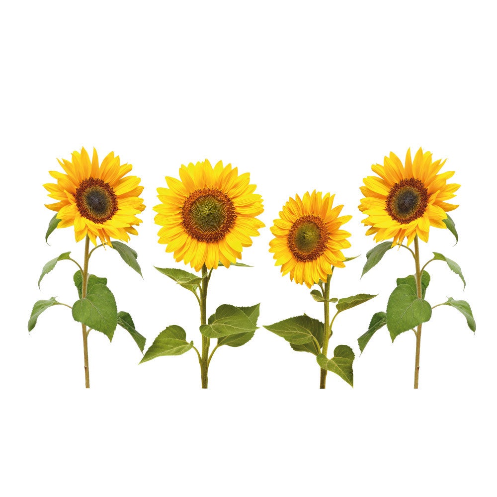 Poubelle Enfant Lot De 2 Autocollants Tournesols Pour Poubelles - 36x78 Cm - PVC Imperméable - Décoration Extérieure Déco Poubelle Extérieure
