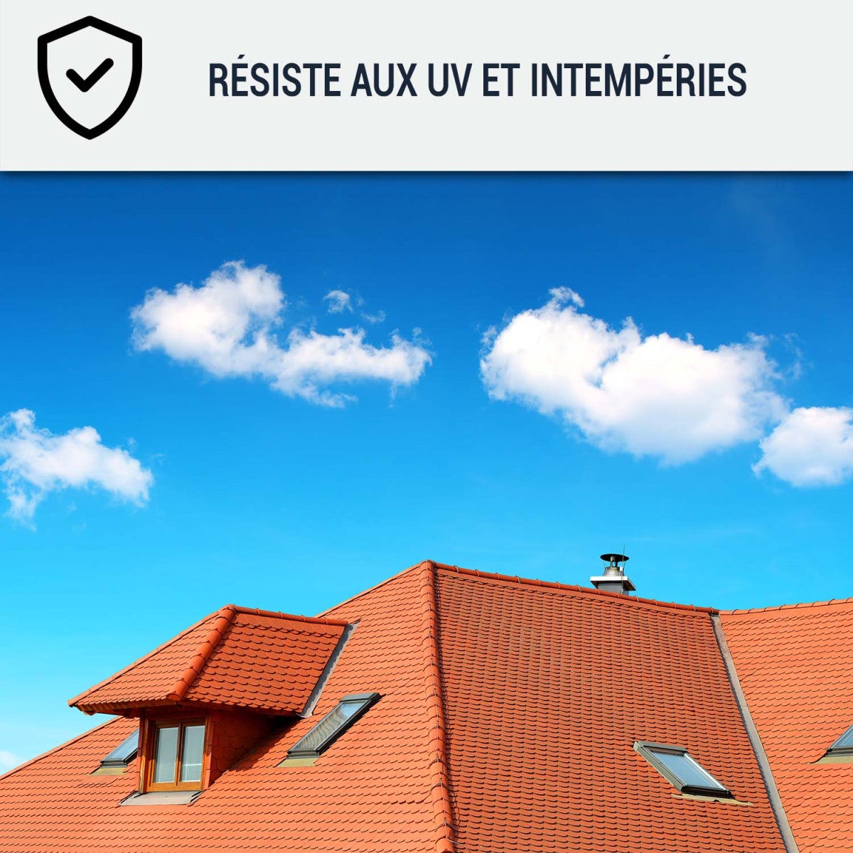 Peinture Toiture pour tuiles ou toiture en matériau poreux : ARCATOITURE Gris ardoise - RAL 7015 - 10 L - ARCANE INDUSTRIES - 4