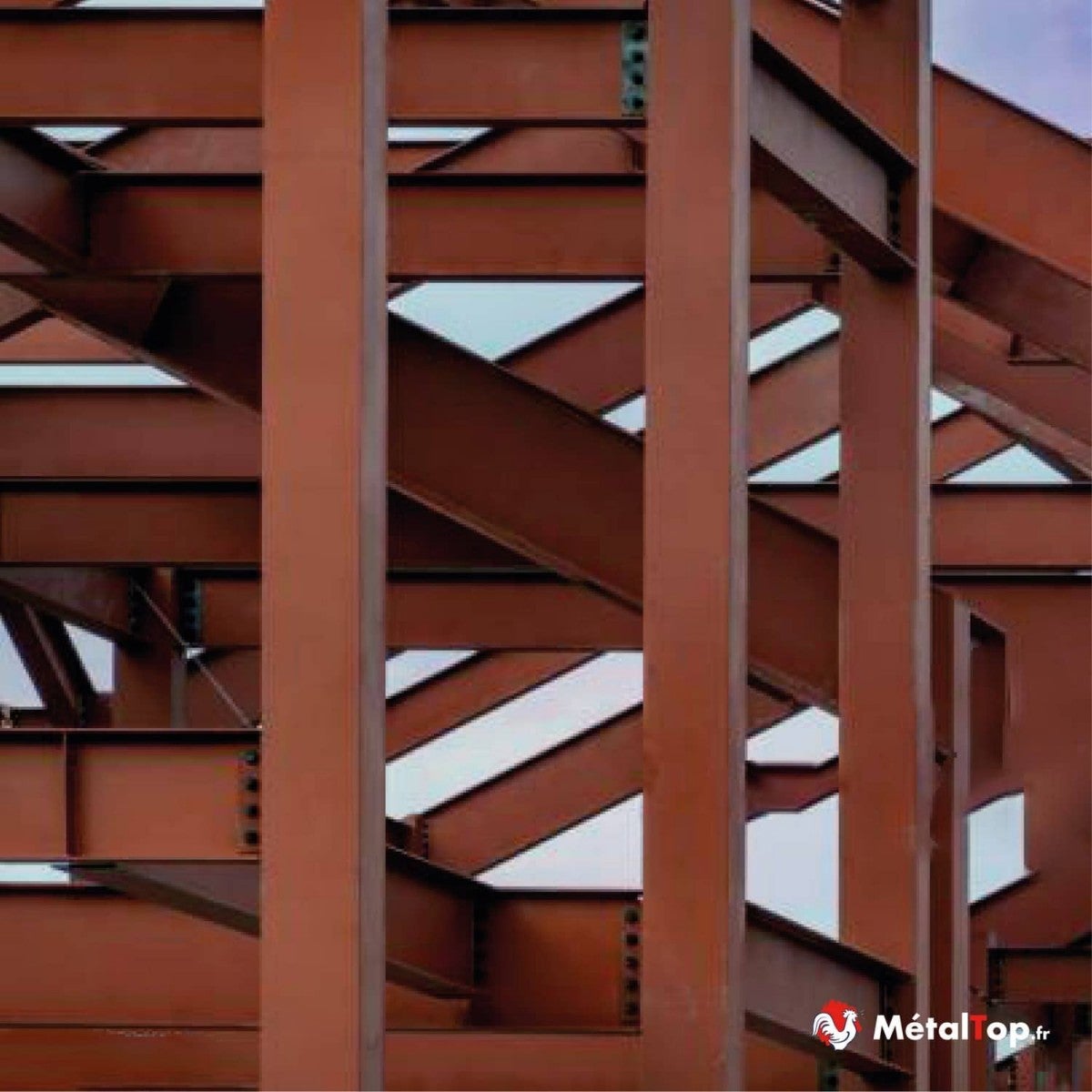 Antirouille Brun Rouge - Metaltop - Brun rouge - RAL 8012 - Pot 5L - 8