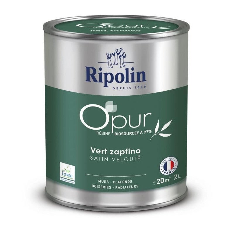 Peinture mur, boiserie, radiateur vert cardo satiné RIPOLIN Intérieur 2.5l