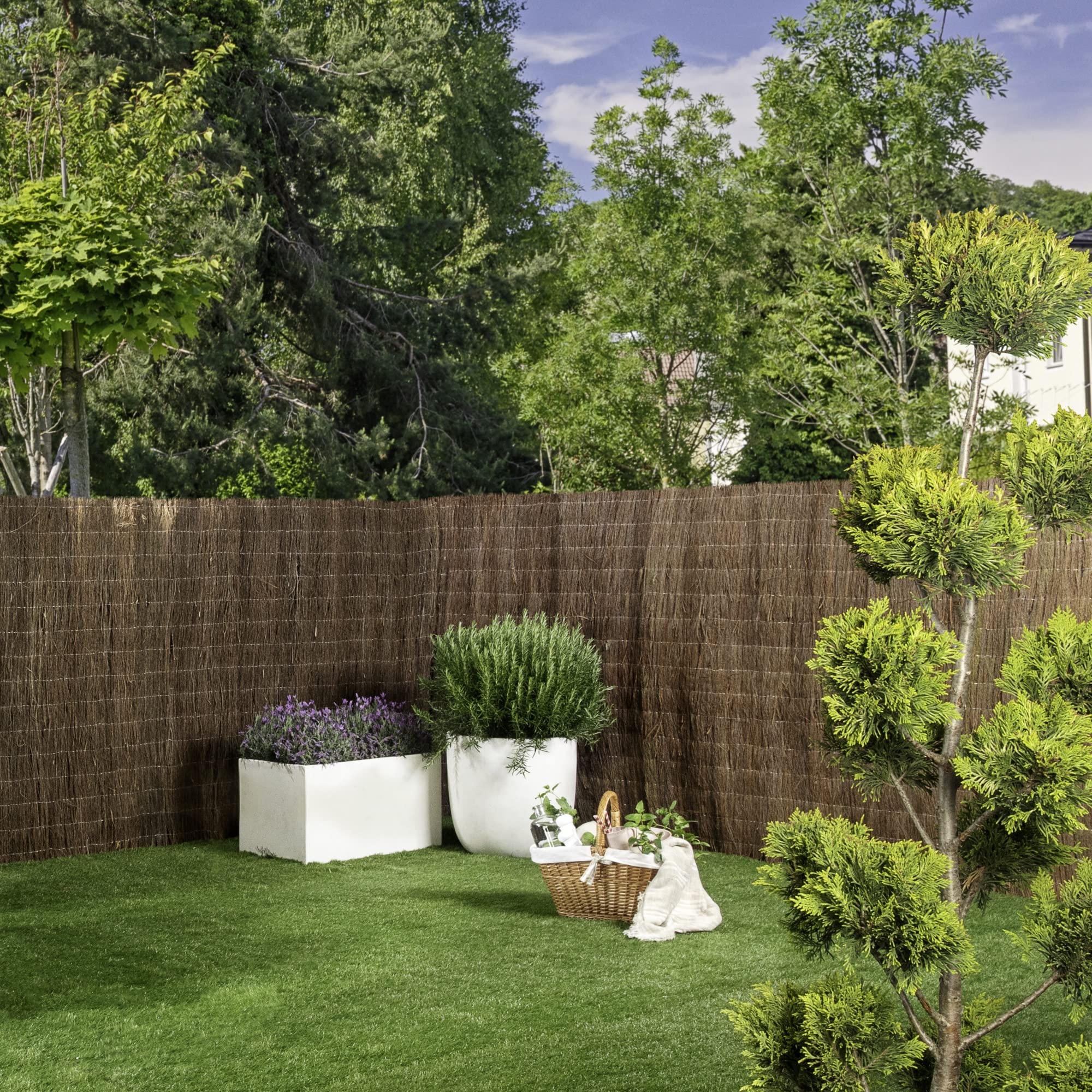 Brise-Vue Brande De Bruyère Werka Pro 800g/m² 1x3m - Naturel Et Résistant Au Vent