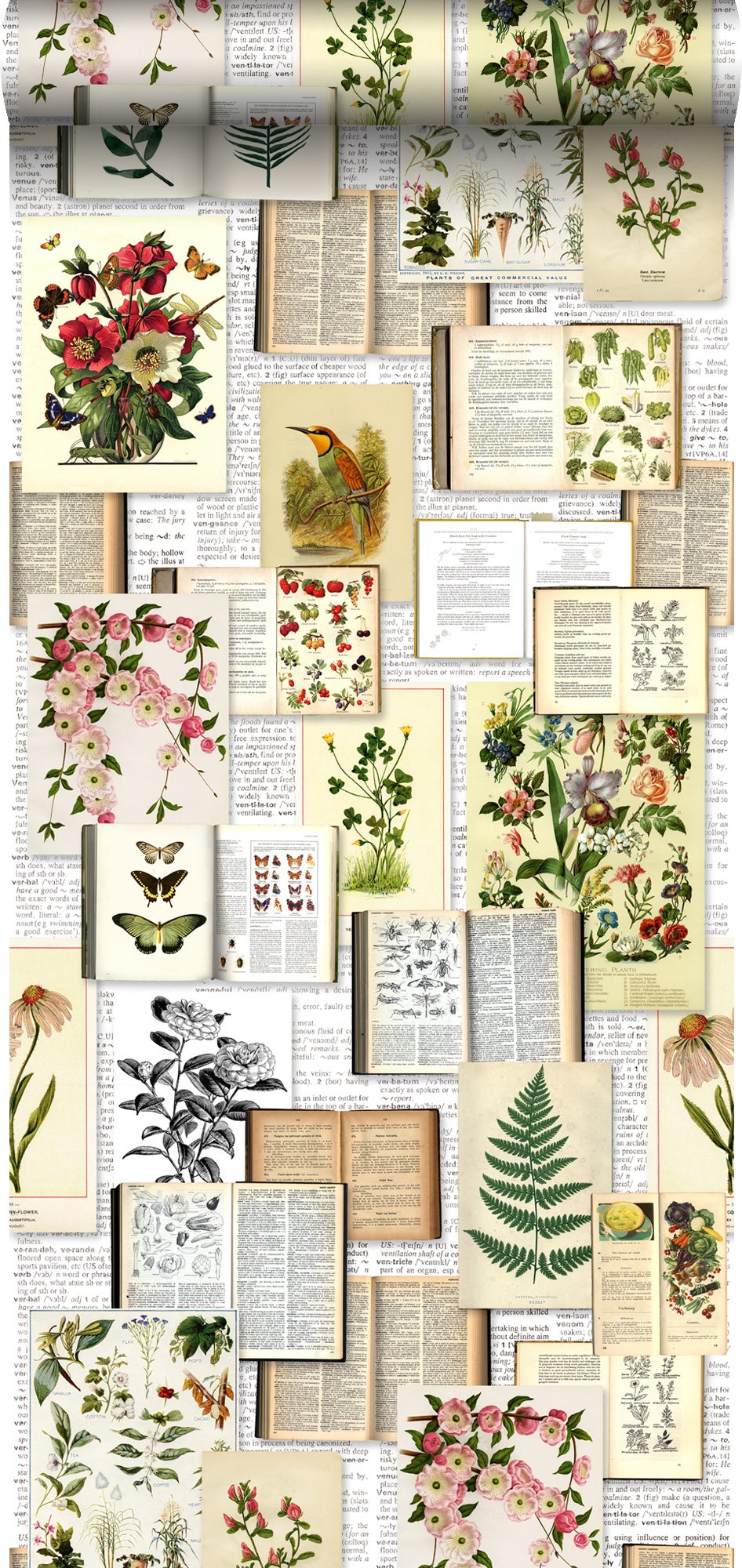 Tapeta XXL strony botaniczne kwiaty i rośliny książka jasny kremowy beż,zielonym,brązowymIochry żółtej - 50 x 900 cm - ESTAHOME