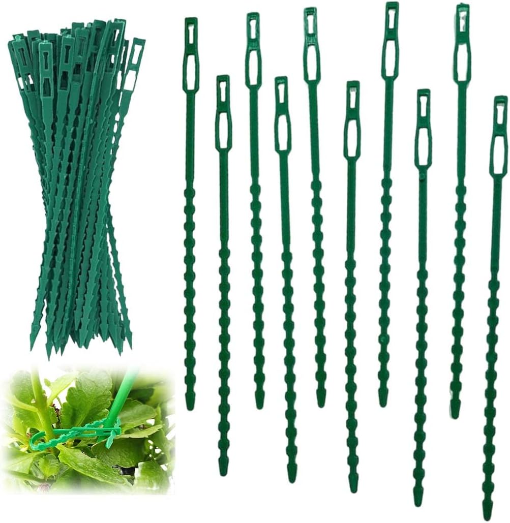 Supports de Clips pour plantes, connexions en plastique réutilisables, fixation de tige de tomate de vigne, greffage de plantes végétales, verger et outils de jardin 15 Supports de Clips pour plantes, connexions en plastique réutilisables, fixation de tige de tomate de vigne, greffage de plantes végétales, verger et outils de jardin 15