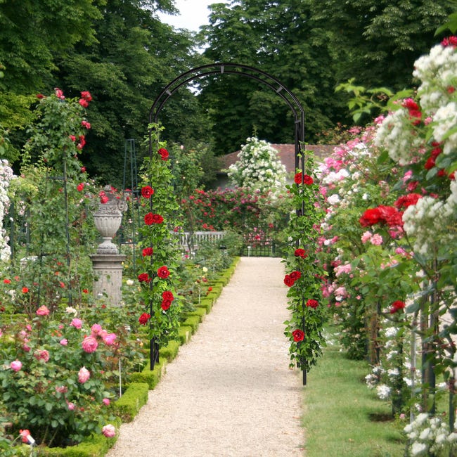 Arco Per Rose Rampicanti In Metallo - Pergola Da Giardino 240x140cm Nero - Foto 12