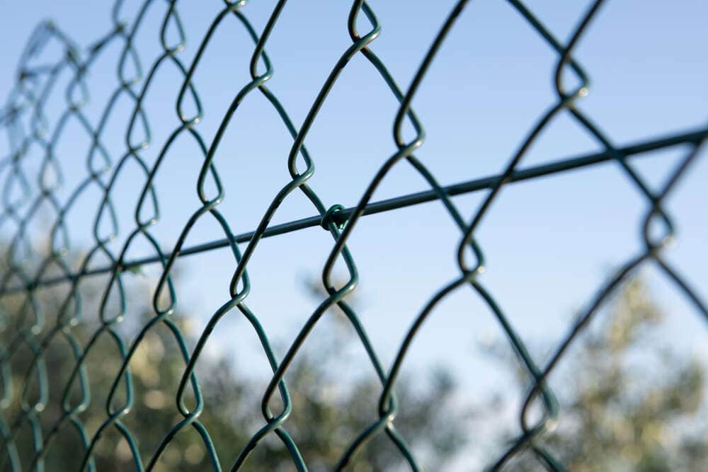 Grapas anilladas en acero cincado verde RAL 6005 A18 en tiras de 40 uds. (caja de 1.000 uds.) - 4