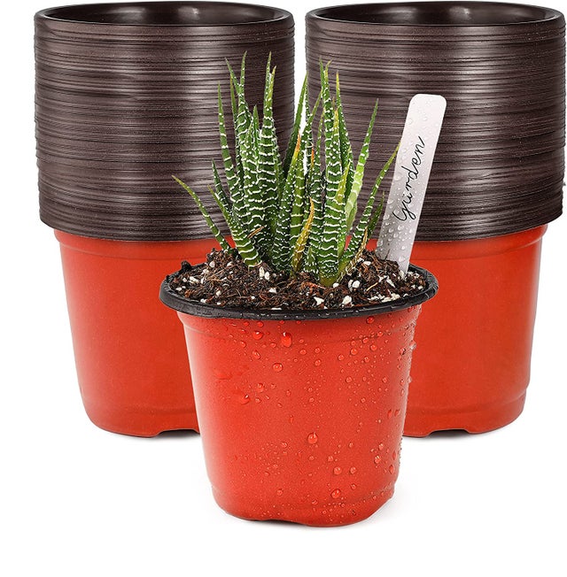 100PCS Plante Pot Jardin Pépinière Semences Pots De Départ Plateau Léger Succulent Semis Fleur Légumes Conteneur Boîte,4