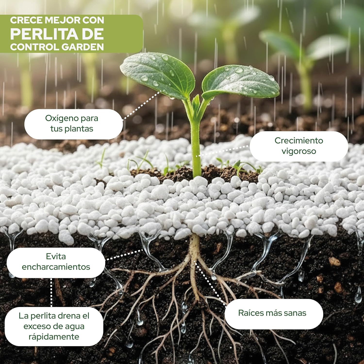 CONTROL GARDEN Perlita 20L | Tierra para Plantas y Cultivos Interior y Exterio | Sustrato Natural para Semillas | Fabricado en España - 2
