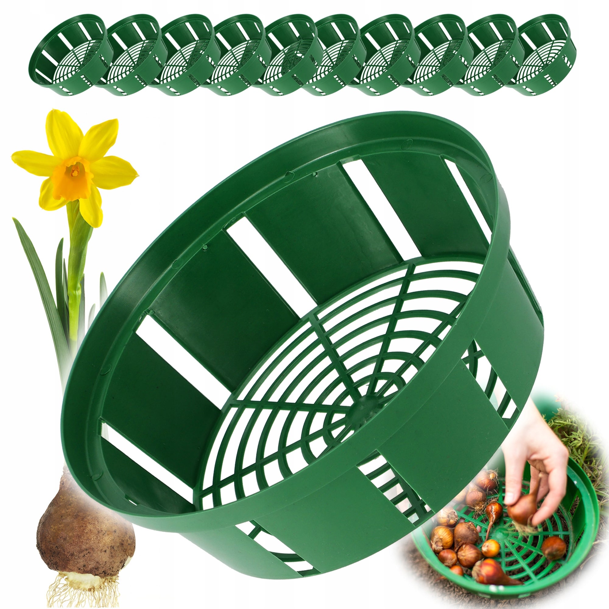 KOSZYK OSŁONKA NA CEBULE CEBULKI KWIATOWE TULIPANY DO SADZENIA 18cm 10szt