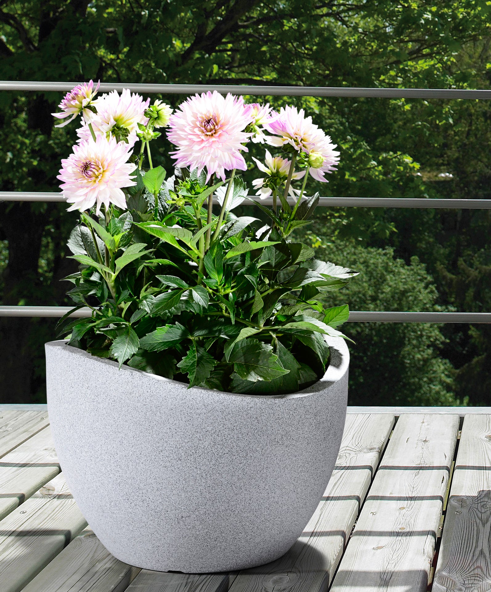Scheurich Wave Globe 60, bac à plantes/pot à fleurs/jardinière, cylindrique, coloris: Stony Grey, fabriqué avec du plastique recyclé, pour l’extérieur - 4