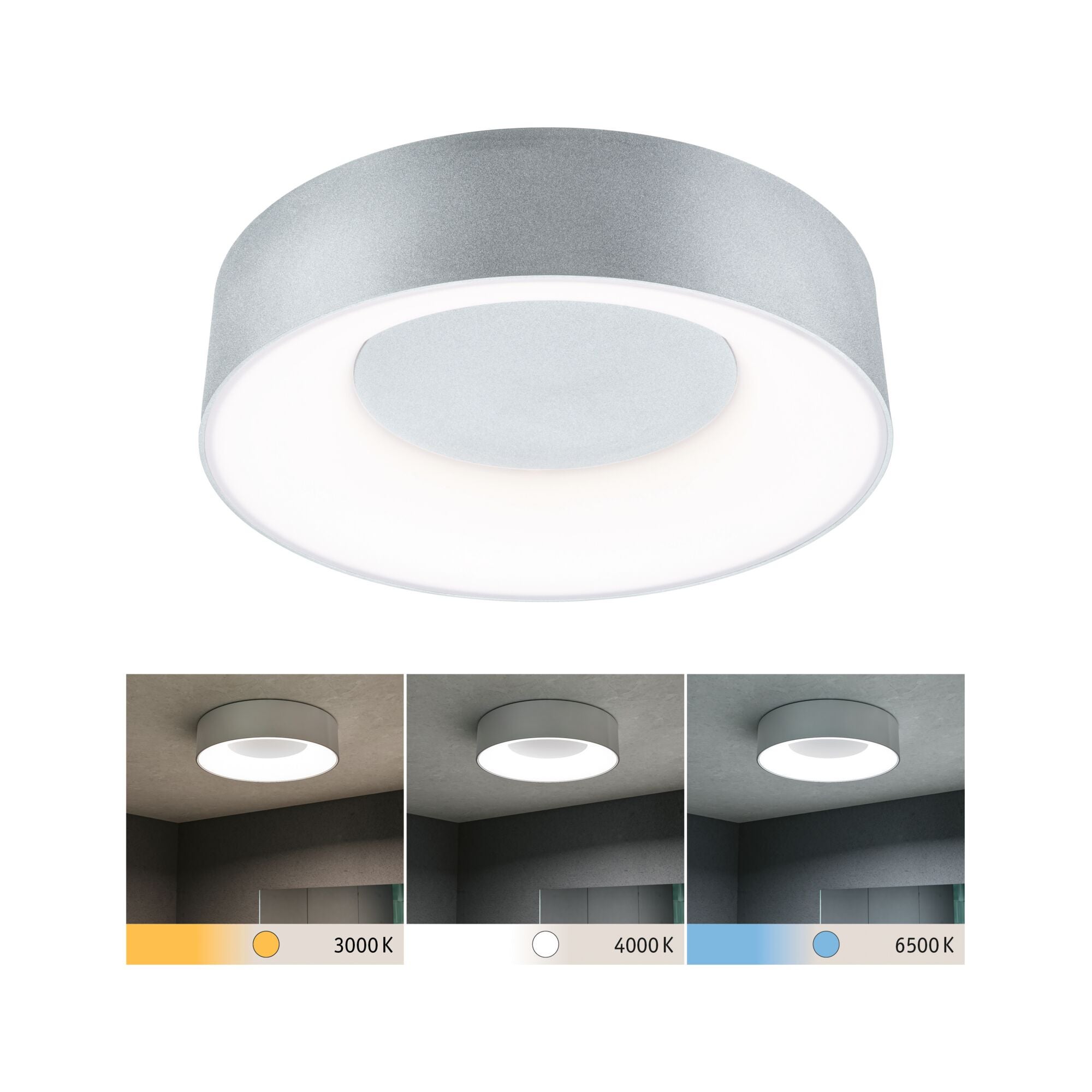 Gris / argent
