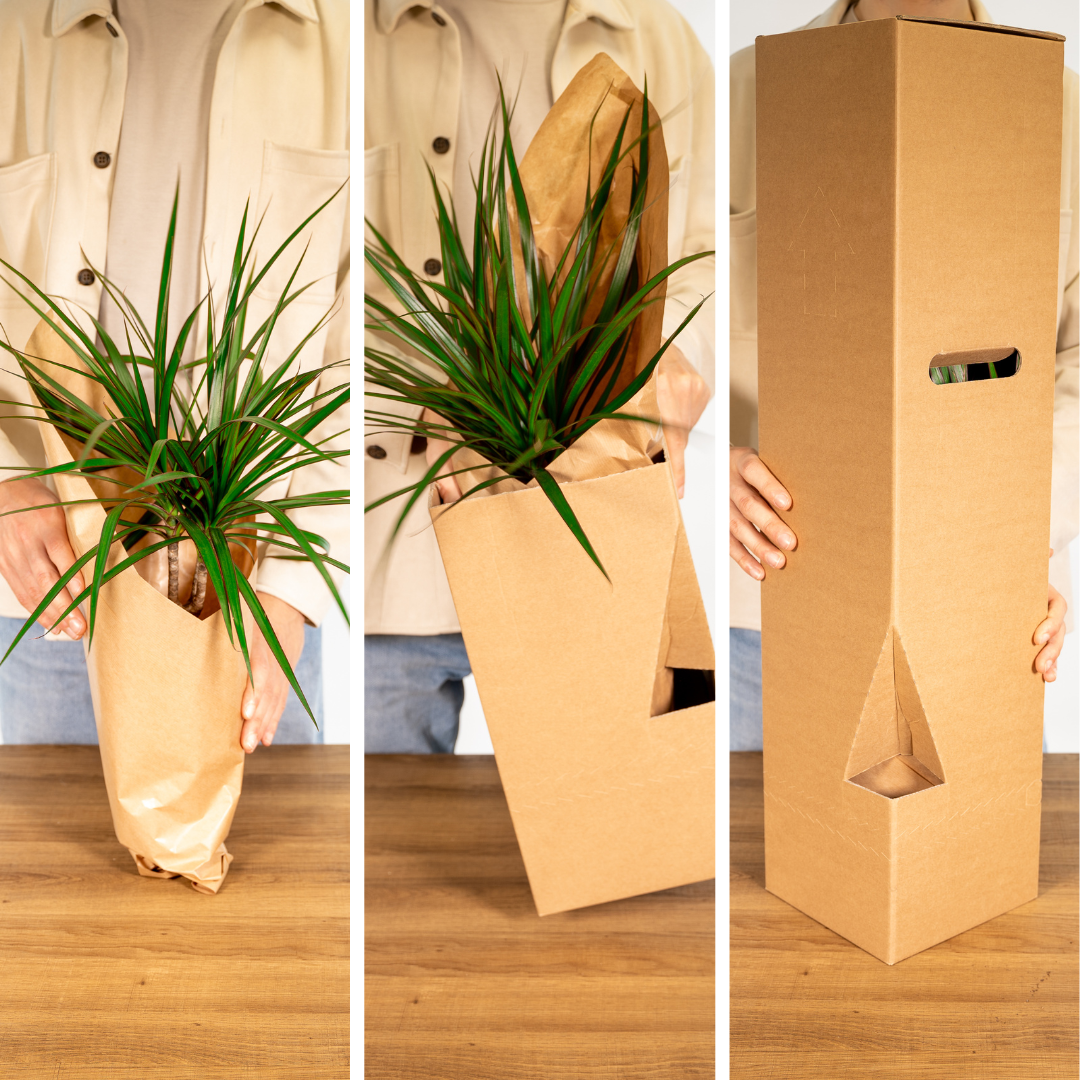 Mix Herbes Aromatiques - PROMO - 4 pièces - Ø14cm - H18cm– ComfortXL Green - 5