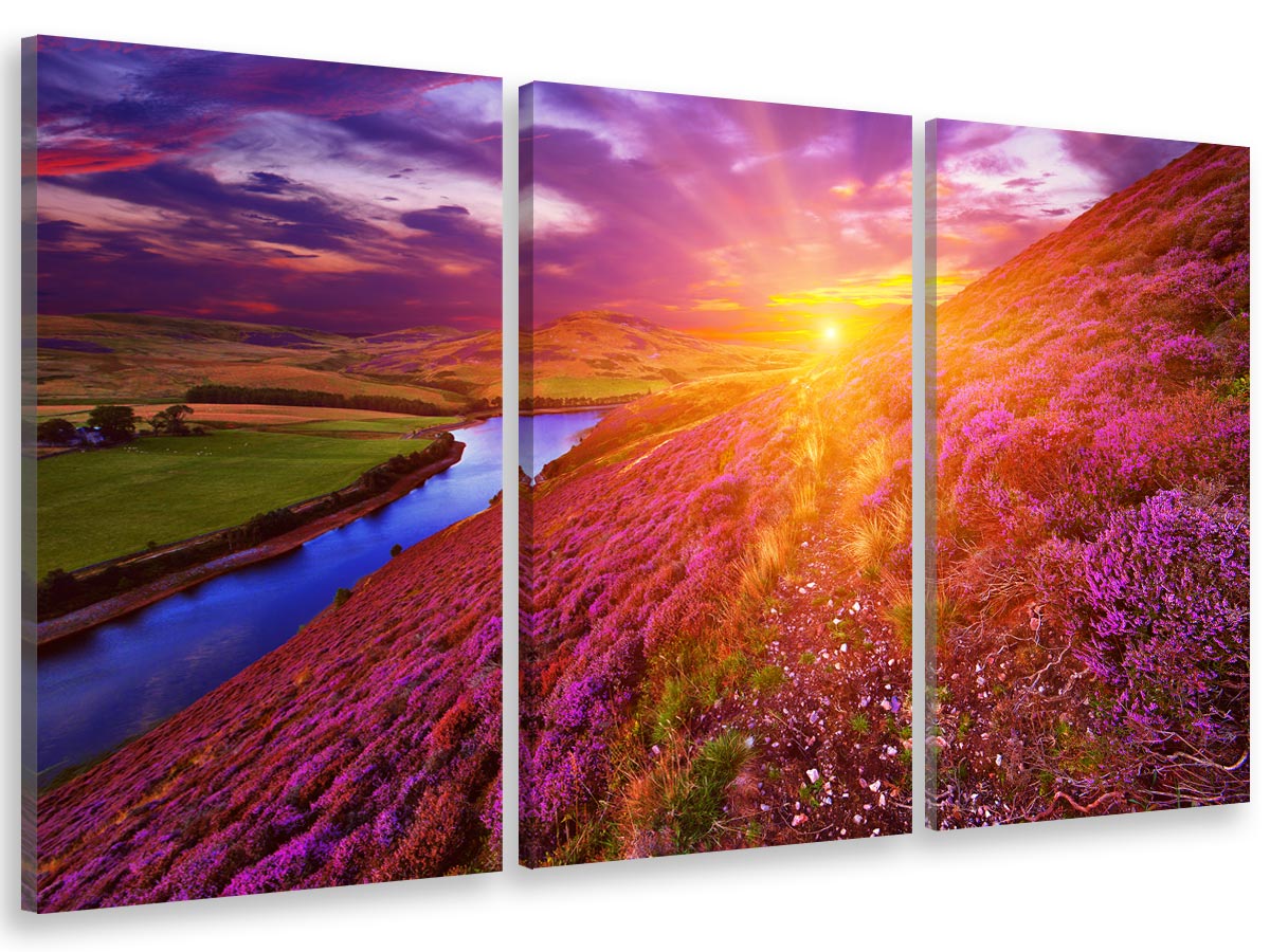 Tableau moderne, Tableau photo payasage islande montagne fleuri ...