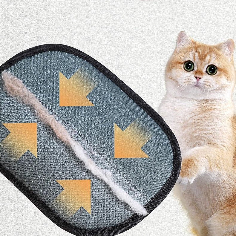 Lot de 3 Gants Anti-Poils Électrostatiques – Style à Cinq Doigts – Pour Vêtements, Canapé, Tapis, Siège Auto – 24 x 18 cm - 5