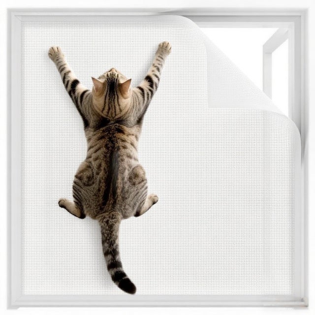 Juego de 2 mosquiteras para ventanas (130 x 150 cm) — Recortables a medida, malla a prueba de gatos, instalación con velcro, fácil de instalar —Blanco