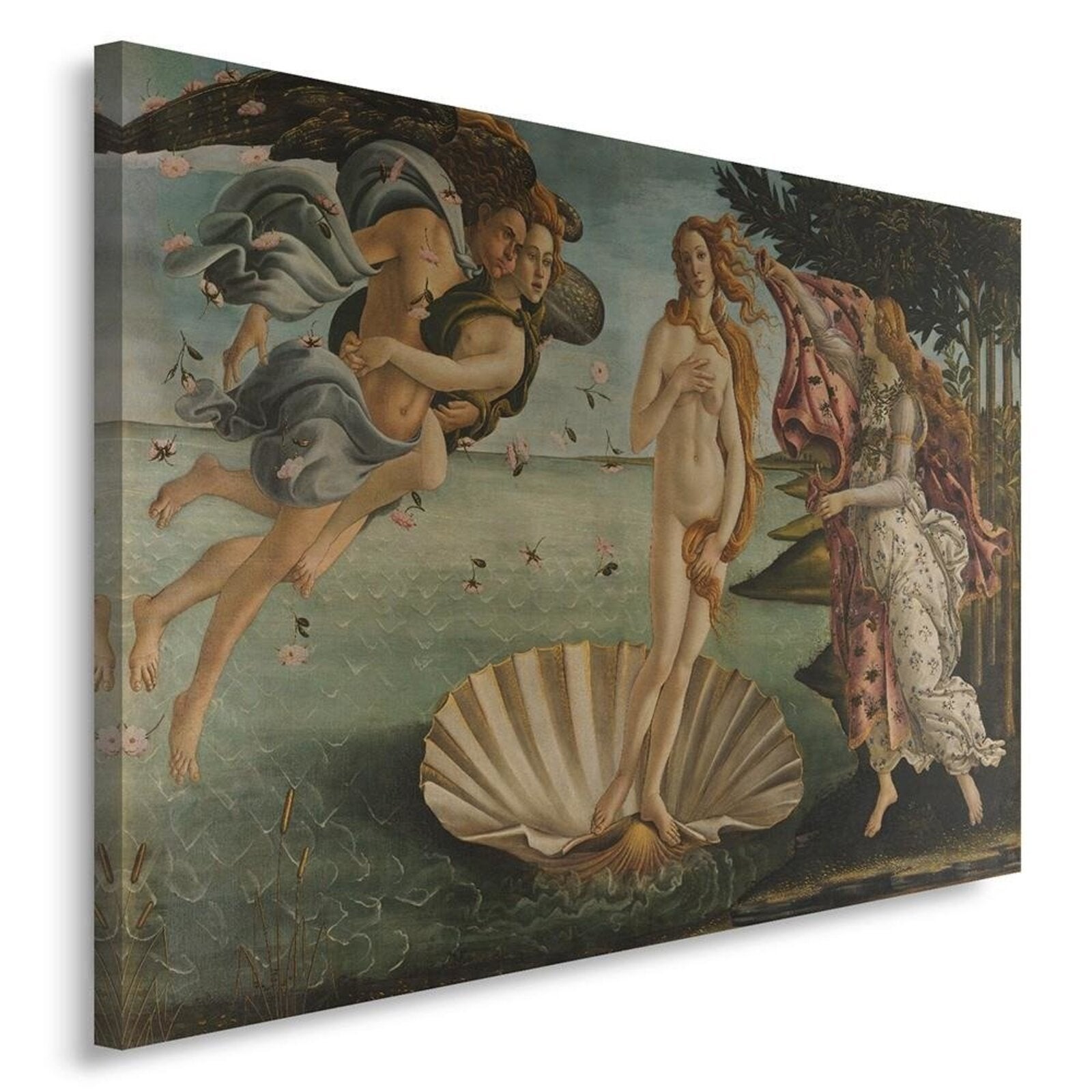 Tableau naissance de Vénus - 40 x 60 cm - 5