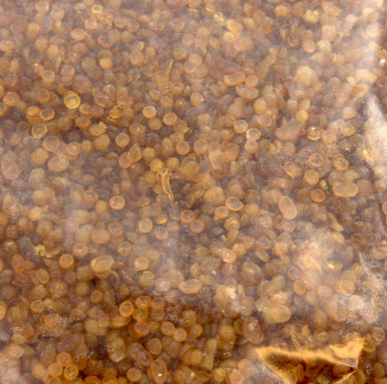 Atleta Rischia La Squalifica Per Le Perline Nei Capelli. Le Avversarie - Foto 8