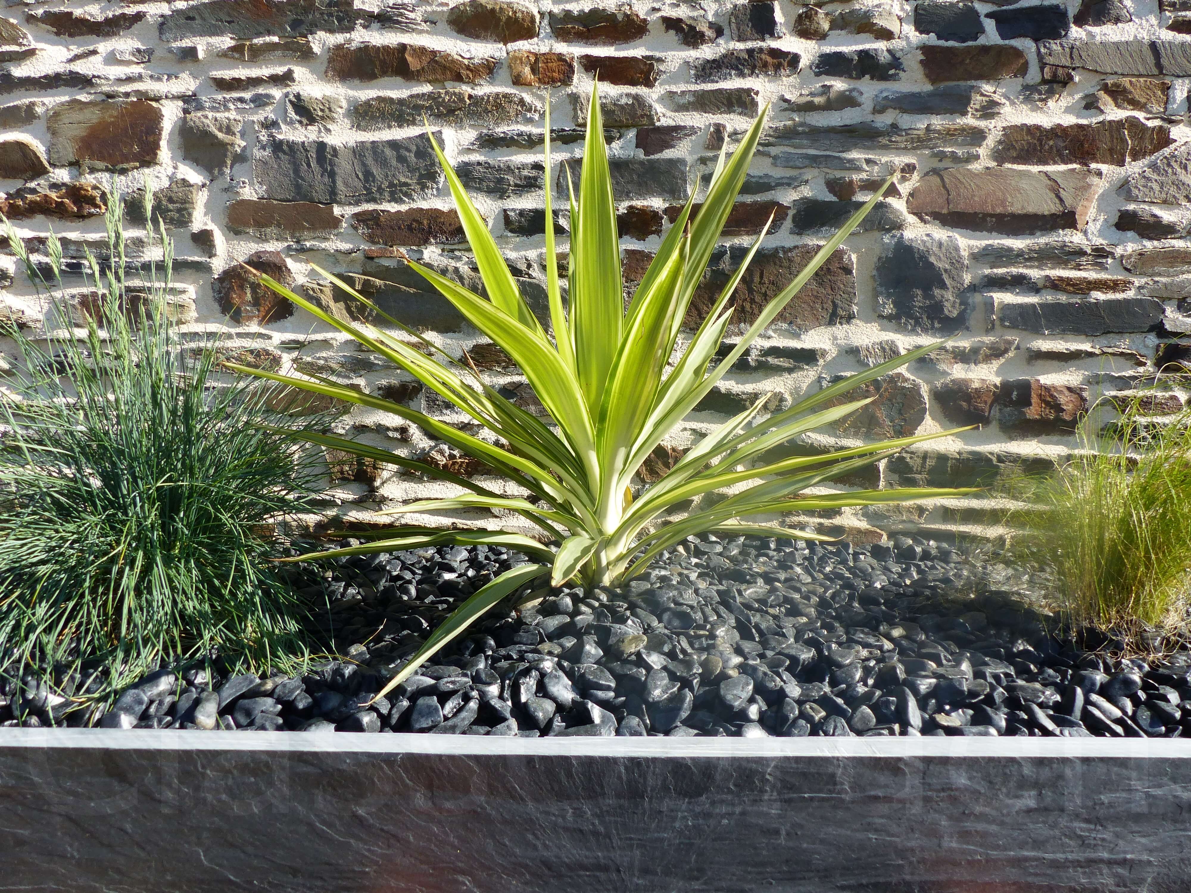 Bordure Ardoise 100 cm - Pack de 10 pièces - 2